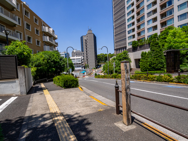 画像を別ウィンドウで表示します 画像