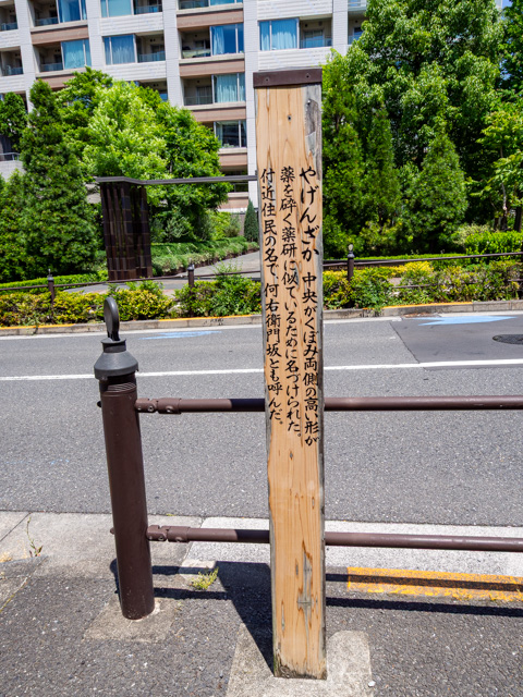 画像を別ウィンドウで表示します 画像