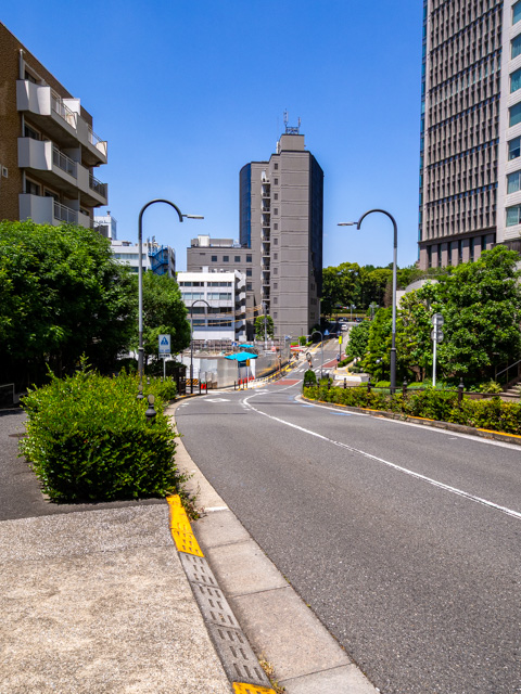 画像を別ウィンドウで表示します 画像