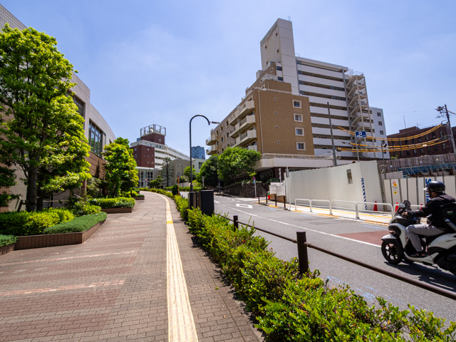画像を別ウィンドウで表示します 画像