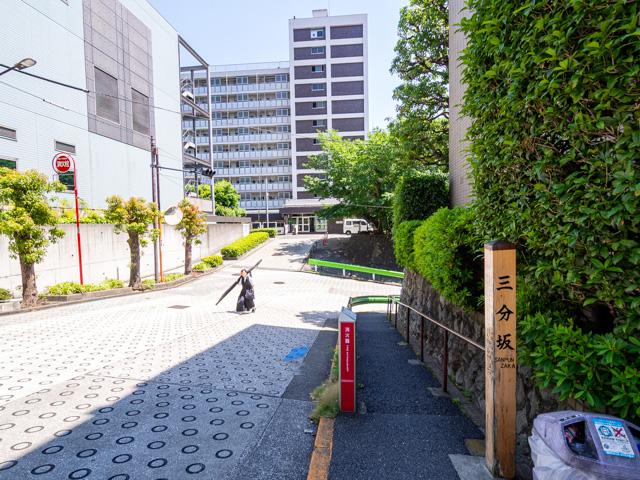 画像を別ウィンドウで表示します 画像