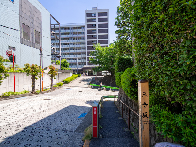 画像を別ウィンドウで表示します 画像