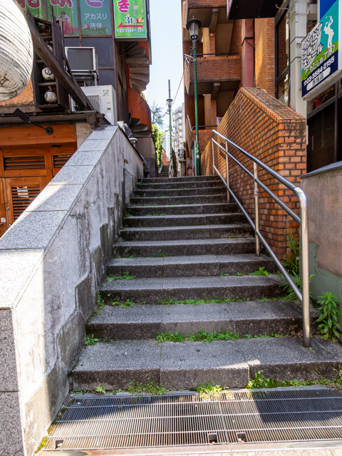 画像を別ウィンドウで表示します 画像