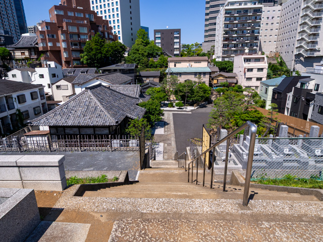 画像を別ウィンドウで表示します 画像