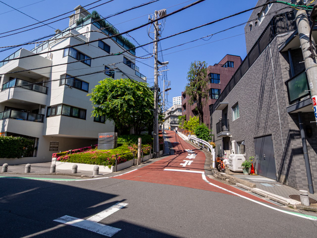 画像を別ウィンドウで表示します 画像