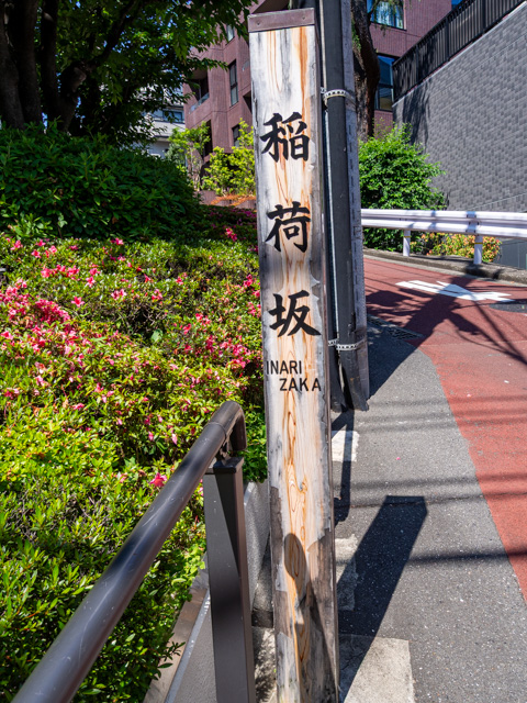 画像を別ウィンドウで表示します 画像
