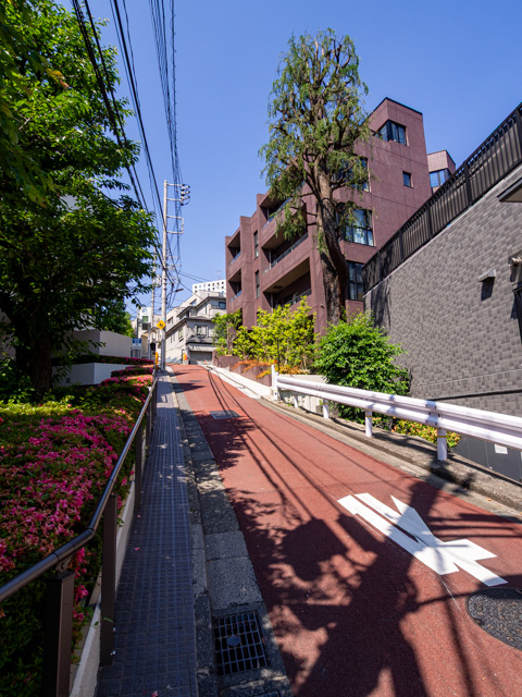 画像を別ウィンドウで表示します 画像
