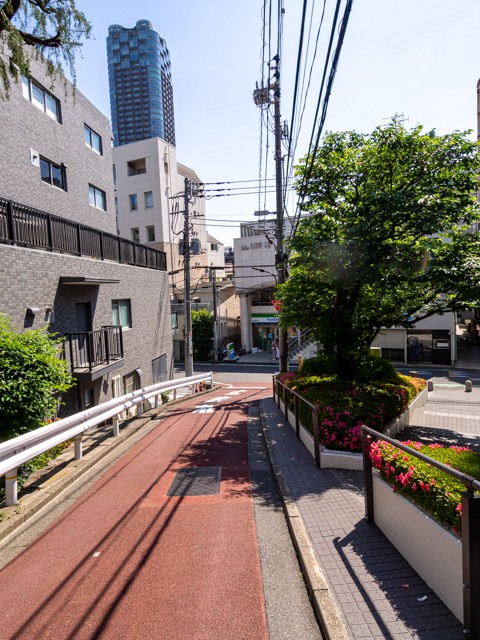 画像を別ウィンドウで表示します 画像