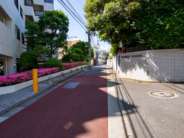 画像を別ウィンドウで表示します 画像