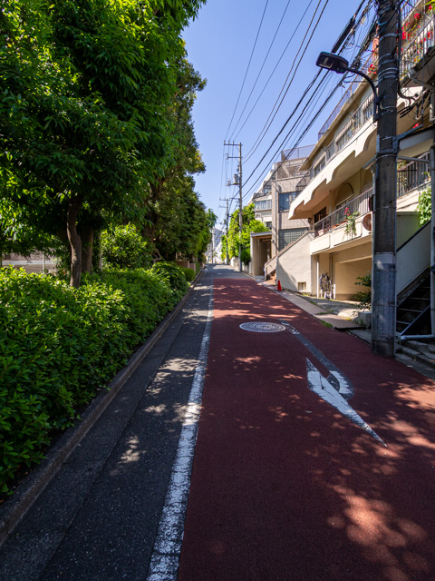 画像を別ウィンドウで表示します 画像