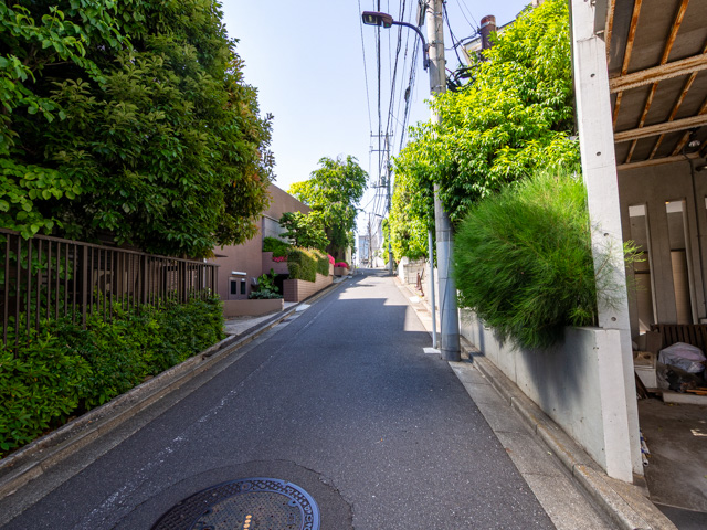画像を別ウィンドウで表示します 画像