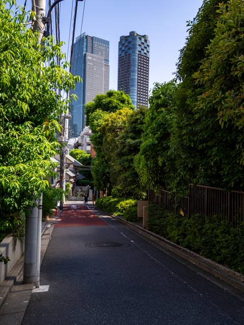 画像を別ウィンドウで表示します 画像
