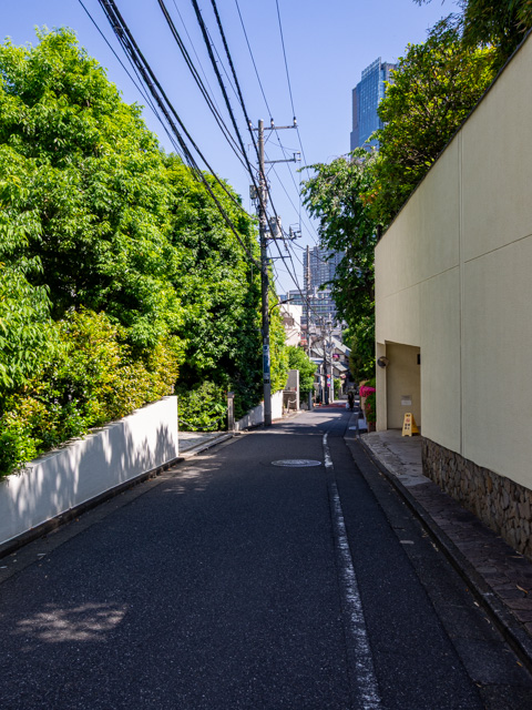 画像を別ウィンドウで表示します 画像