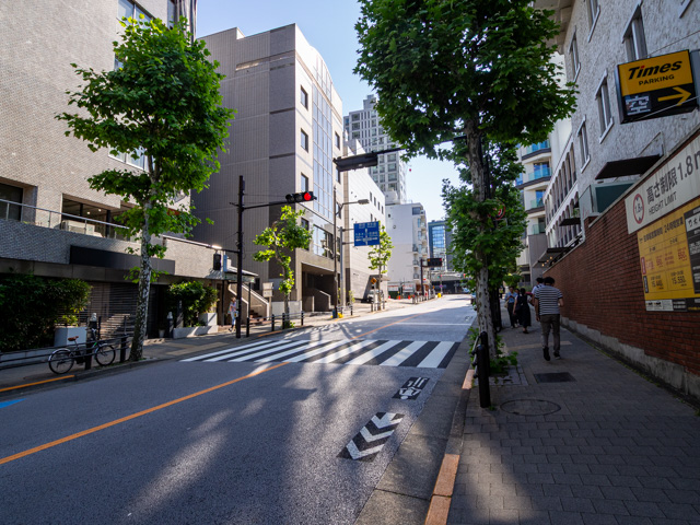 画像を別ウィンドウで表示します 画像