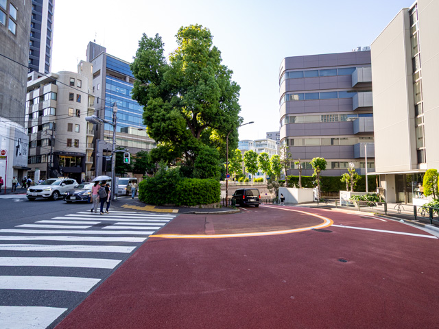 画像を別ウィンドウで表示します 画像