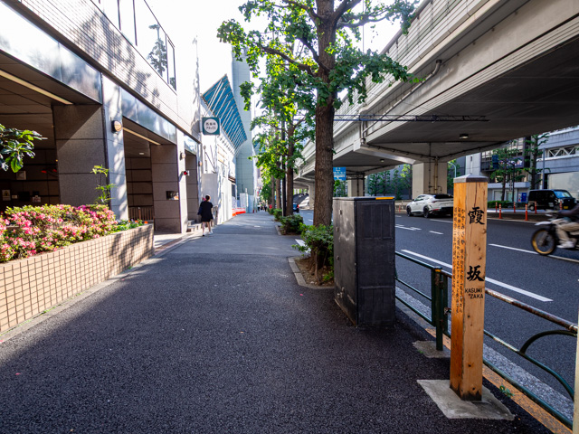 画像を別ウィンドウで表示します 画像