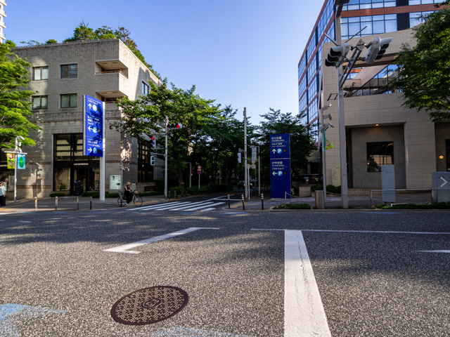 画像を別ウィンドウで表示します 画像
