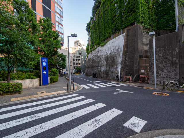 画像を別ウィンドウで表示します 画像