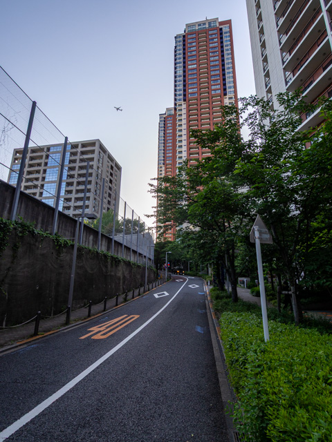 画像を別ウィンドウで表示します 画像