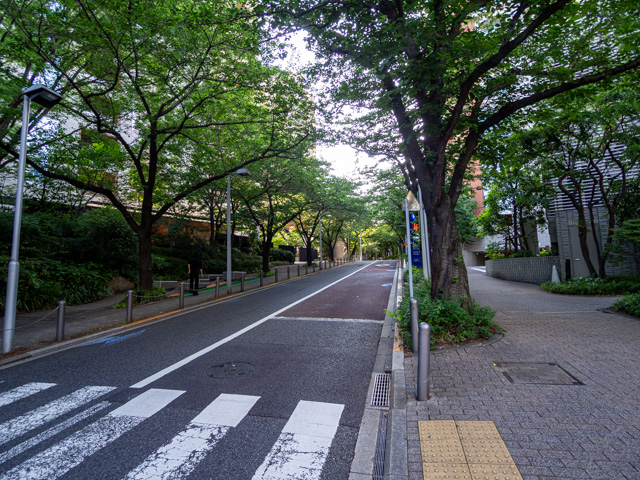 画像を別ウィンドウで表示します 画像