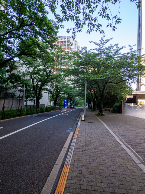 画像を別ウィンドウで表示します 画像