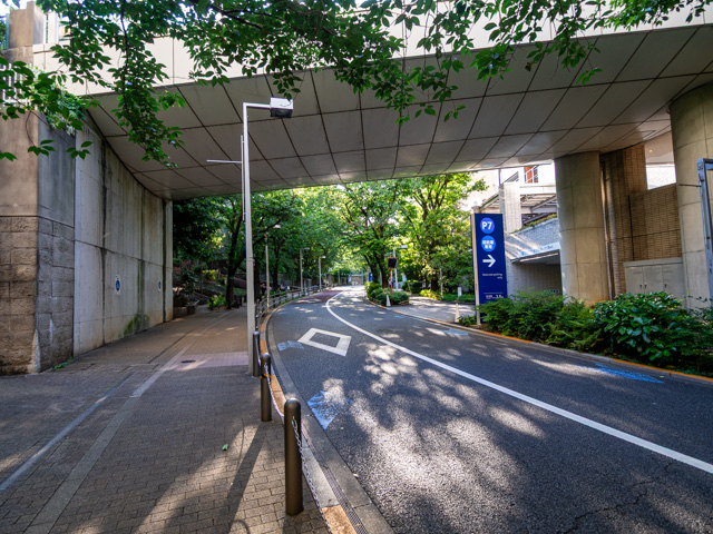 画像を別ウィンドウで表示します 画像