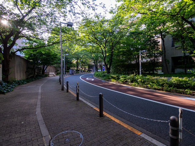 画像を別ウィンドウで表示します 画像