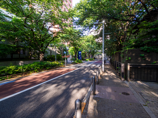画像を別ウィンドウで表示します 画像