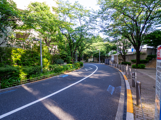 画像を別ウィンドウで表示します 画像