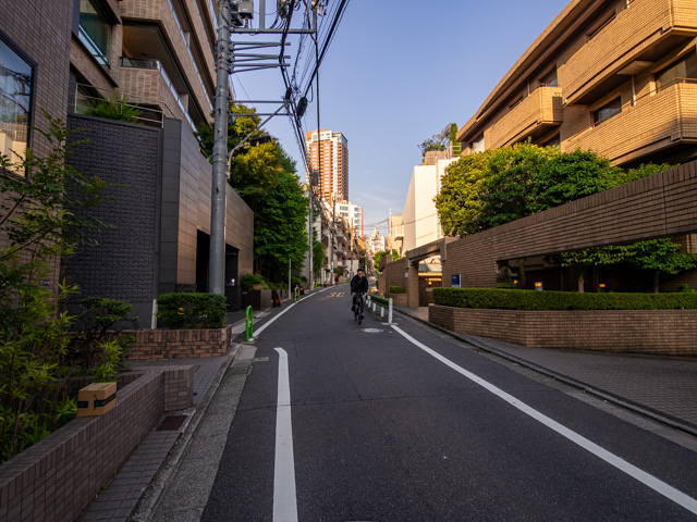 画像を別ウィンドウで表示します 画像