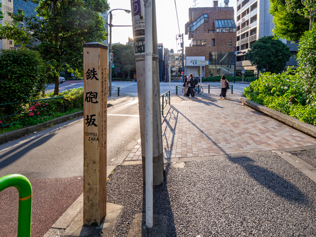 画像を別ウィンドウで表示します 画像