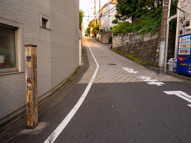 画像を別ウィンドウで表示します 画像
