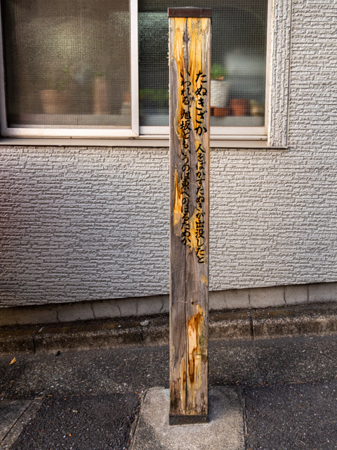 画像を別ウィンドウで表示します 画像