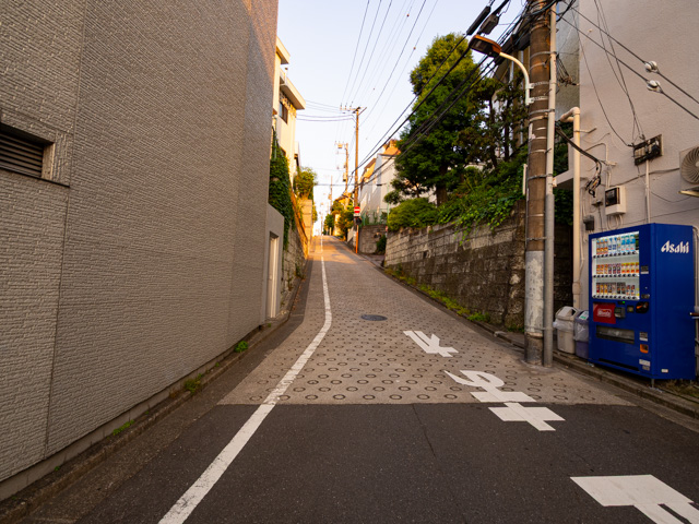 画像を別ウィンドウで表示します 画像