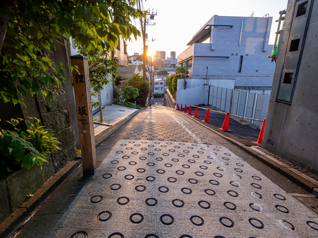 画像を別ウィンドウで表示します 画像