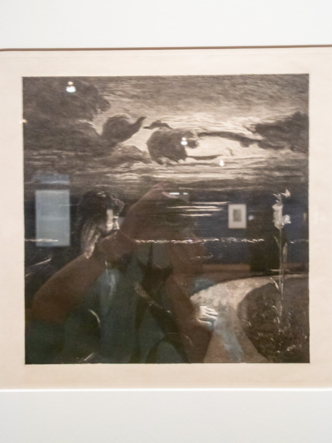 画像を別ウィンドウで表示します 画像