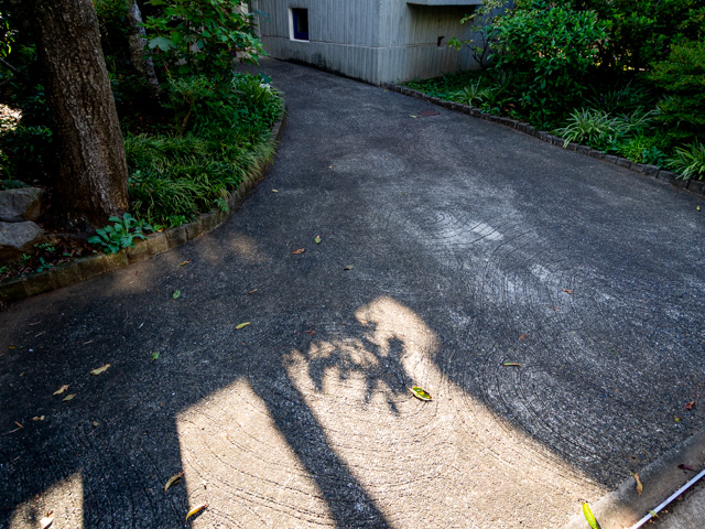 画像を別ウィンドウで表示します 画像